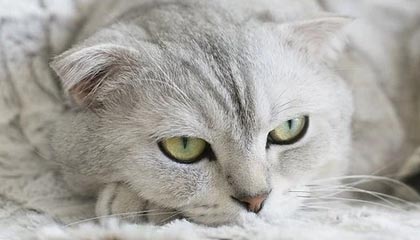 长兴最新的高价医保卡惠民保险代扣怎么取消掉了方法分享(长兴惠民医保怎么报销教程)