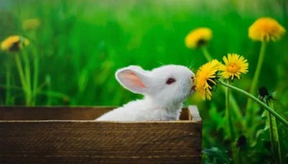 长兴最新的高价医保个人账户余额微信查询方法分享(长兴医保查询个人账户明细怎么查微信教程)